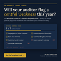 Nonprofit Financial Controls Template Pack